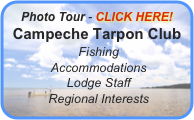 Photo Tour - CLICK HERE!
Campeche Tarpon Club
 Fishing
 Accommodations
 Lodge Staff
 Regional Interests
