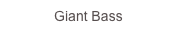 Giant Bass