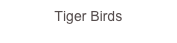 Tiger Birds