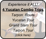 Experience it ALL!
4 Yucatan Combo Trips

Tarpon  Route
Yucatan Tour
Grand Slam Tour
Tarpon Tour

(click here)
