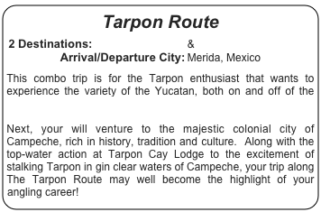 Tarpon Route

2 Destinations: Tarpon Cay Lodge & Campeche Tarpon Club
Arrival/Departure City: Merida, Mexico

This combo trip is for the Tarpon enthusiast that wants to experience the variety of the Yucatan, both on and off of the water.  You will spend the first part of your trip fishing at Tarpon Cay Lodge, situated in the remote fishing village of San Felipe.  Next, your will venture to the majestic colonial city of Campeche, rich in history, tradition and culture.  Along with the top-water action at Tarpon Cay Lodge to the excitement of stalking Tarpon in gin clear waters of Campeche, your trip along The Tarpon Route may well become the highlight of your angling career!