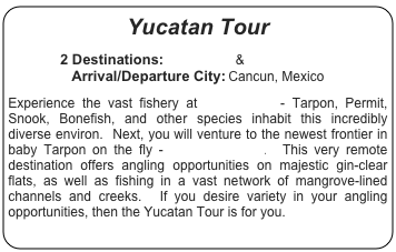 Yucatan Tour

2 Destinations: Isla Blanca & Isla del Sabalo
Arrival/Departure City: Cancun, Mexico

Experience the vast fishery at Isla Blanca - Tarpon, Permit, Snook, Bonefish, and other species inhabit this incredibly diverse environ.  Next, you will venture to the newest frontier in baby Tarpon on the fly - Isla del Sabalo.  This very remote destination offers angling opportunities on majestic gin-clear flats, as well as fishing in a vast network of mangrove-lined channels and creeks.  If you desire variety in your angling opportunities, then the Yucatan Tour is for you.